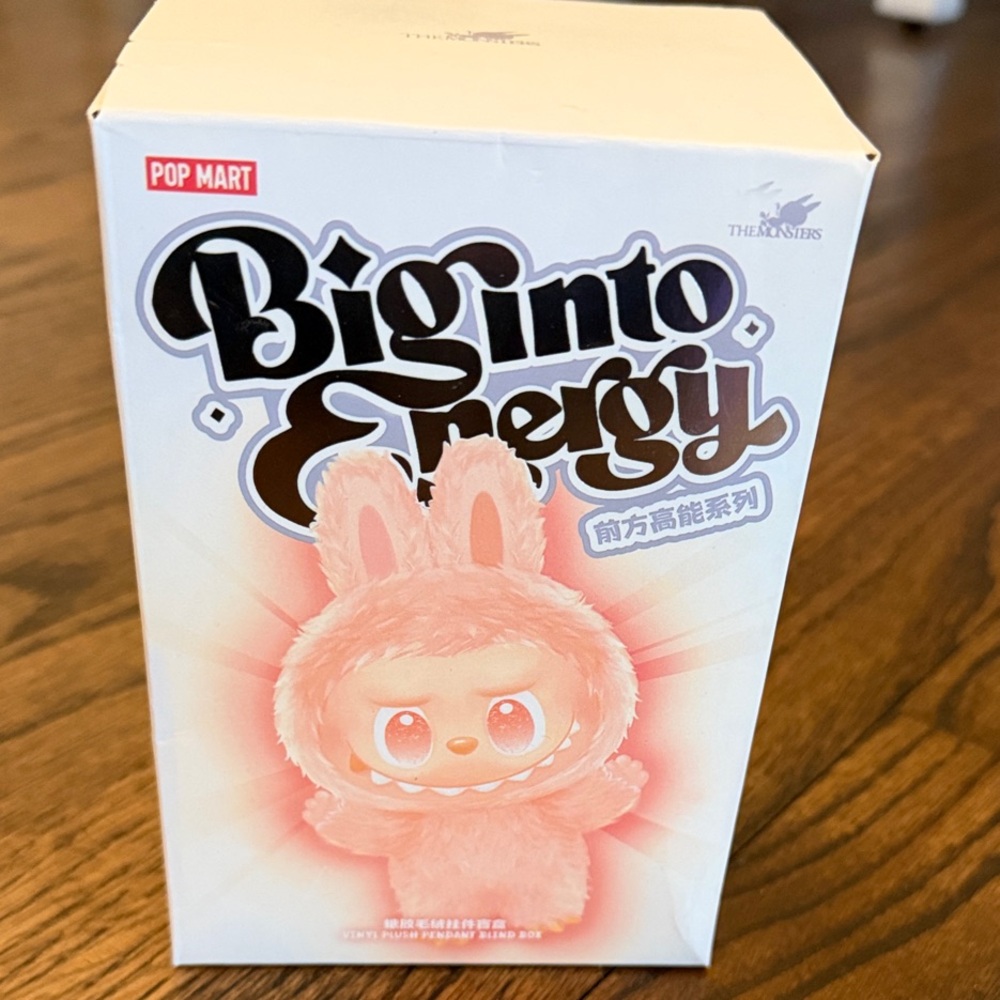 SEALED IN BOX -  Pop Mart Big Into Energy Labubu